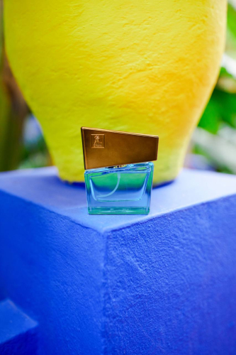 Духи с феромонами мужские SHIATSU Pheromone Fragrance men lightblue 15 мл - 2